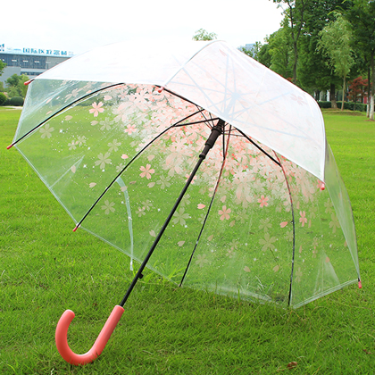 韓日系列四色透明櫻花雨傘小清新長柄傘可愛動漫雨傘加厚透明雨傘